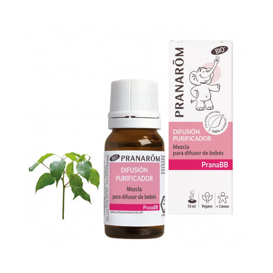 PranaBB Mistura para Difusão Purificadora BIO (10 ml)